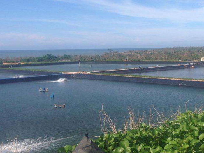 土工膜（養殖）